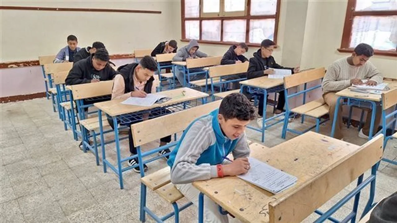رابط مفعل.. نتائج سنوات النقل في محافظة الجيزة تظهر عبر البوابة الإلكترونية